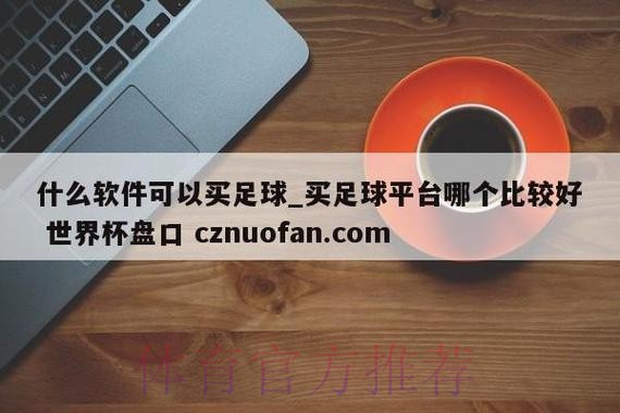 官方世界杯盘口入口解析